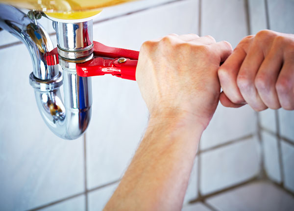 About Lemon Cove Plumbers
